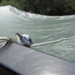 IMG_4218800