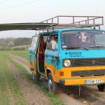 IMG_6955800