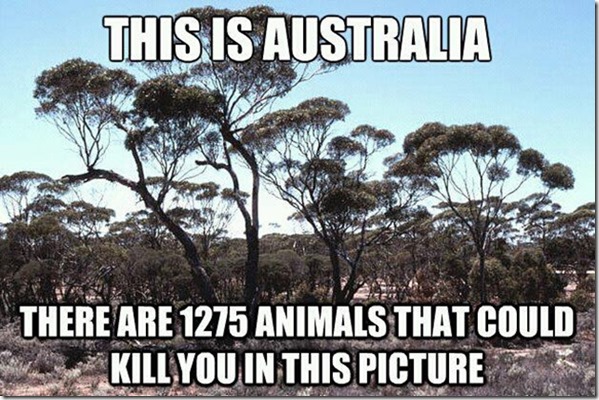 this-is-australia-there-are-1275-animals-that-could-kill-you-in-this-picture