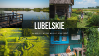 Województwo lubelskie – 15+ miejsc, które musisz odwiedzić